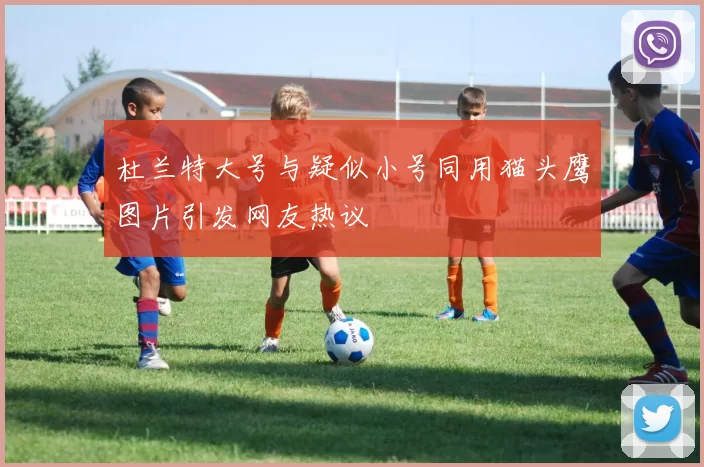 杜兰特大号与疑似小号同用猫头鹰图片引发网友热议