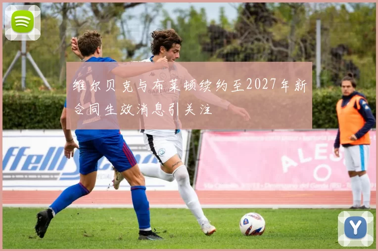 维尔贝克与布莱顿续约至2027年新合同生效消息引关注